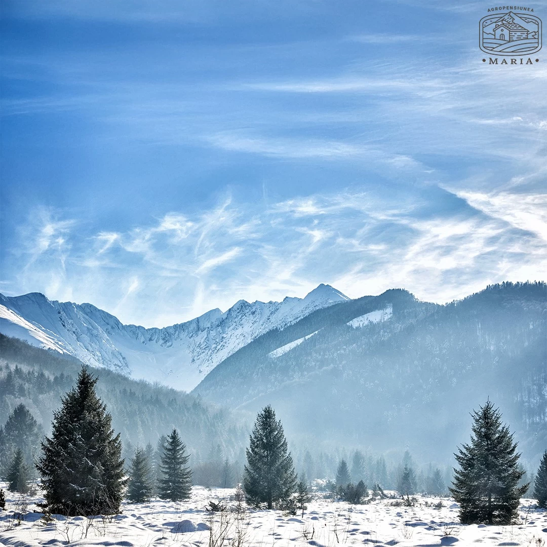 https://www.travlocals.com/uploads/0010/10374/2025/07/30/490588796-1757356911769270-221536988334975421-n.webp