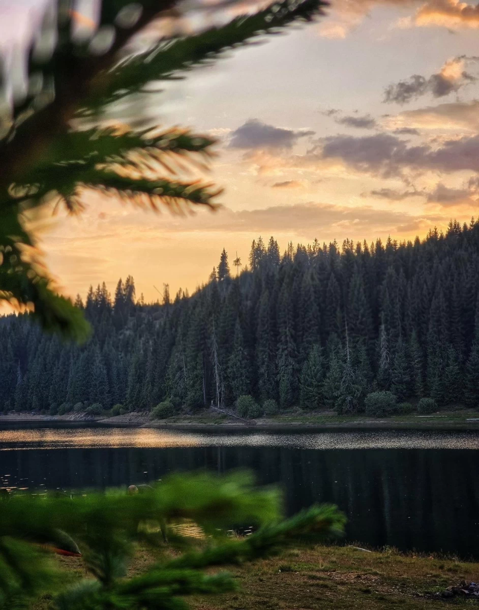 https://www.travlocals.com/uploads/0010/10402/2025/08/20/img-20250820-wa0009.webp