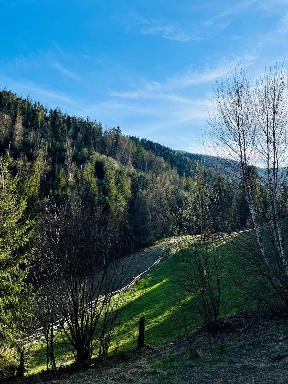 https://www.travlocals.com/uploads/0010/10410/2025/08/18/721325039.webp