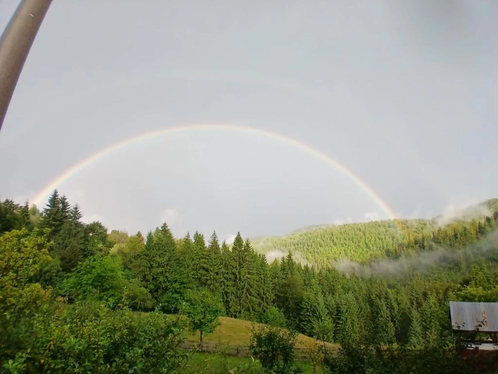 https://www.travlocals.com/uploads/0010/10410/2025/08/18/723968749.webp