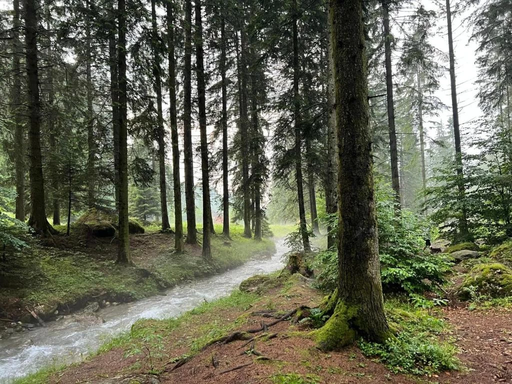 https://www.travlocals.com/uploads/0010/10417/2025/08/11/728006473.webp
