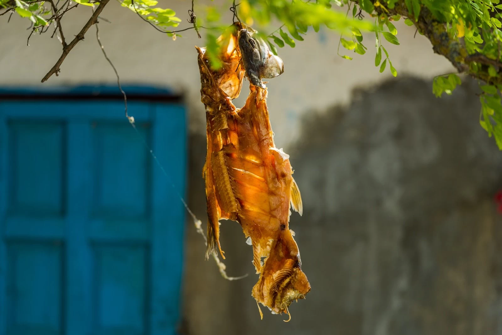 Rețete culinare Delta Dunării. Cea mai gustoasă gastronomie locală?