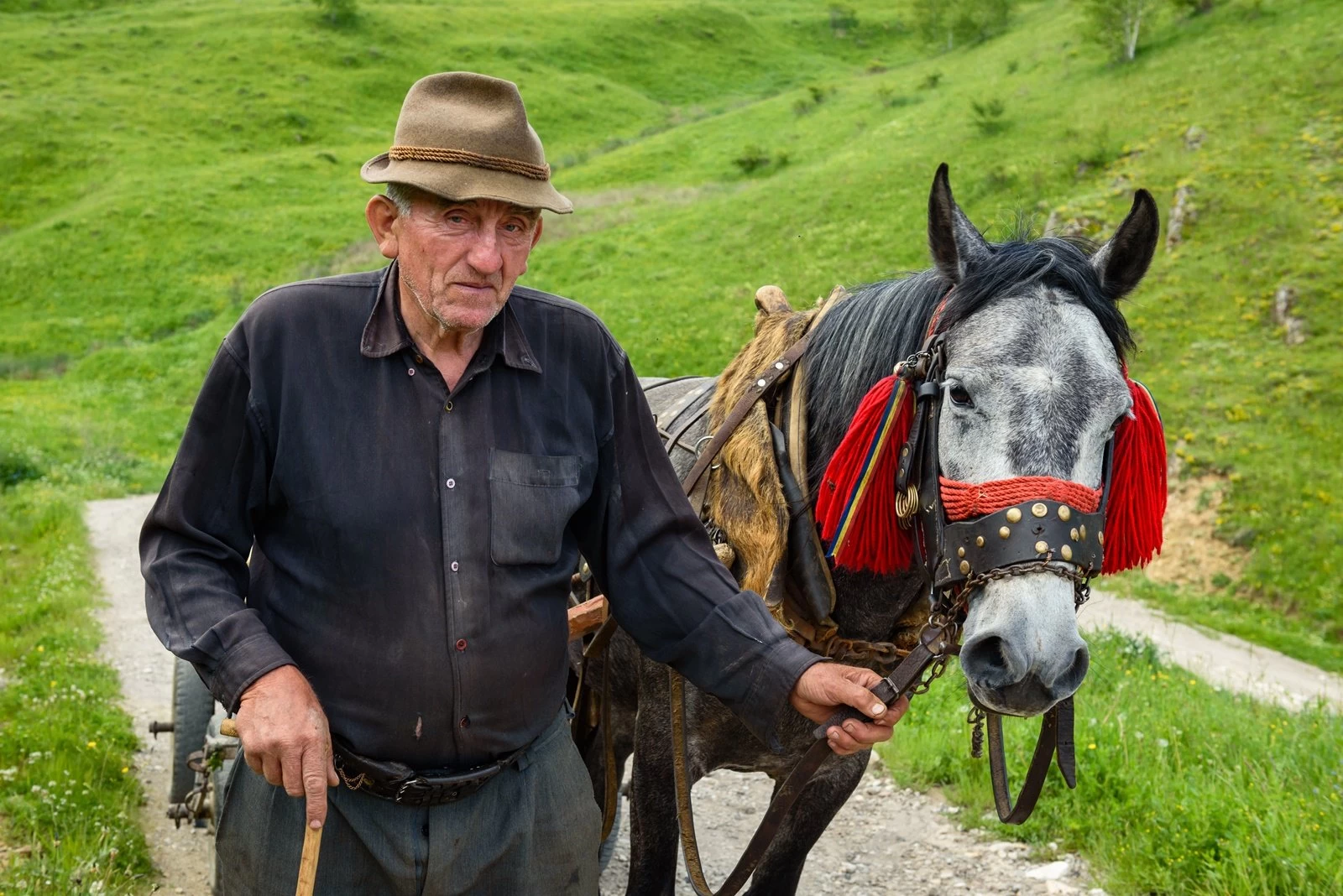 https://www.travlocals.com/uploads/2019/07/transilvania-33.webp