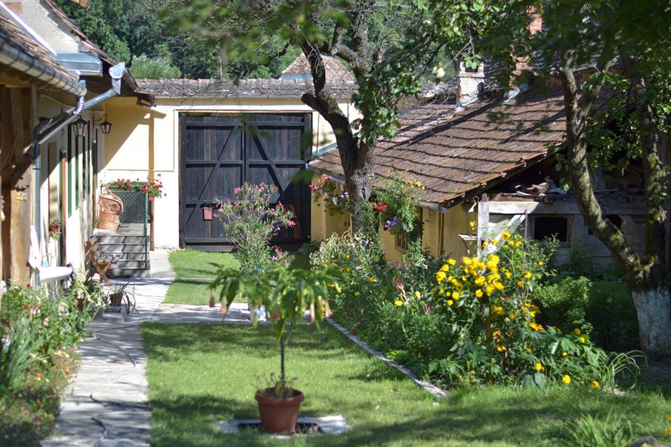 https://www.travlocals.com/uploads/2019/09/villa-rihuini-4.jpg