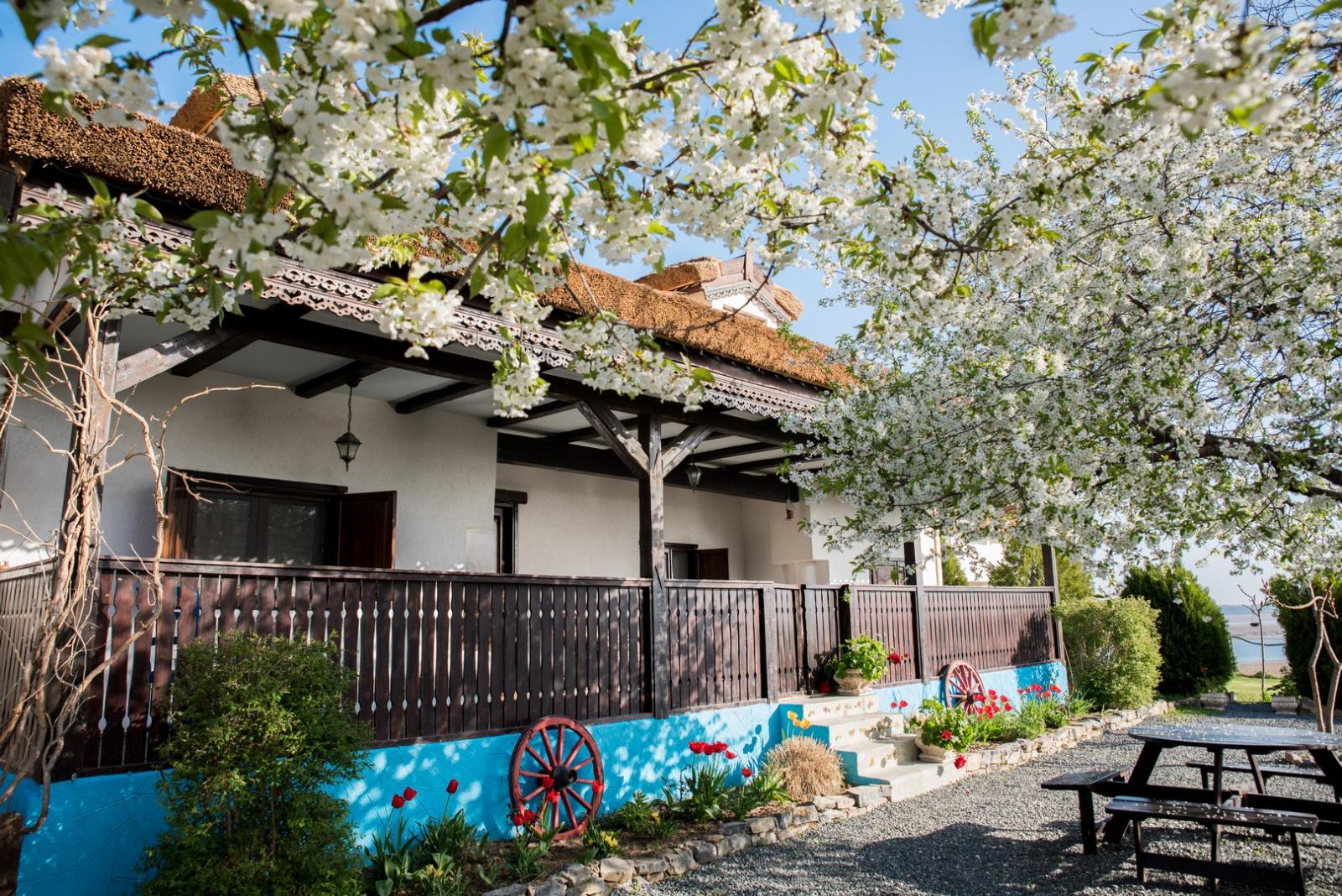 https://www.travlocals.com/uploads/2020/01/casa-veche-1.jpg